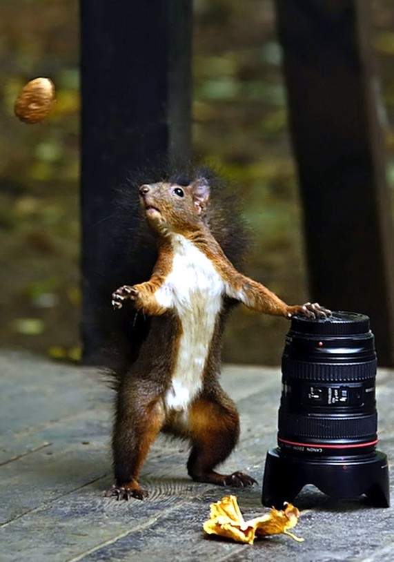 Feeling Just A Little Squirrely…